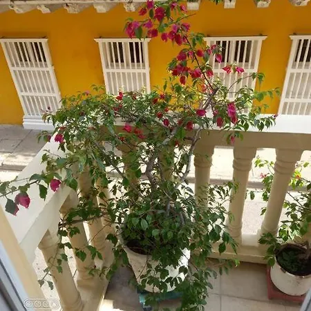 Junto Al Mar En Centro Historico . Apartamento